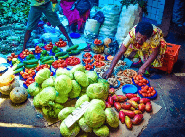 Visit Nadi day tours city town